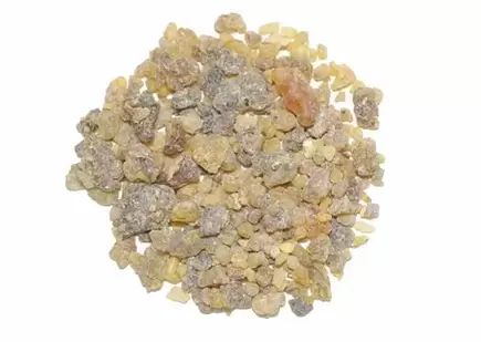 Extrait de Boswellia serrata